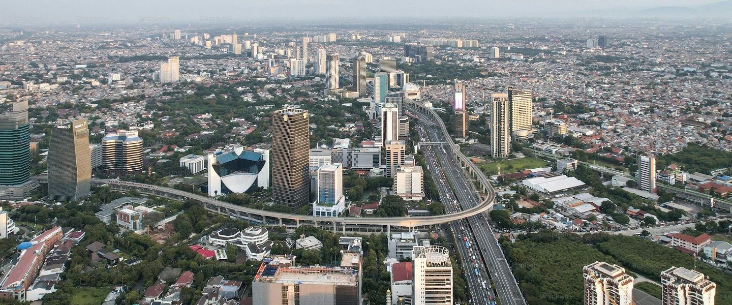 Aerial view of Lagos, representing local government revenue services